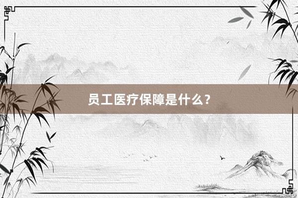 员工医疗保障是什么？