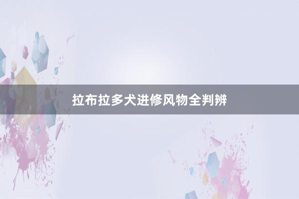 拉布拉多犬进修风物全判辨
