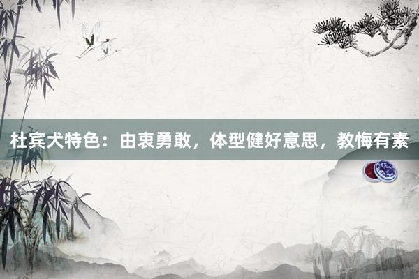 杜宾犬特色：由衷勇敢，体型健好意思，教悔有素